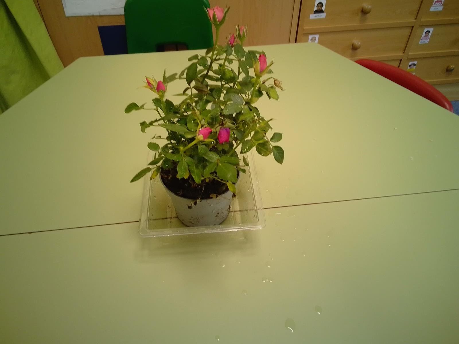 escuela-infantil-carabanchel